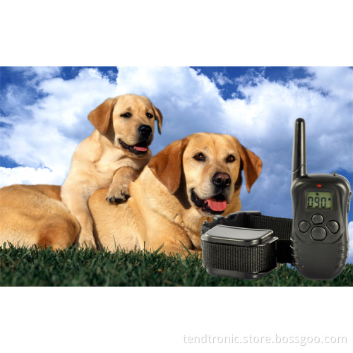 pet training collar dog trainnig